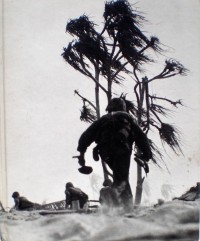 Image of Island Fighting / Rafael SteinBerg and the editors of Time-Life Books