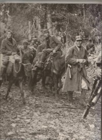 Image of Partisans and Guerrillas / Ronald H. Bailey and The editors of Time-Life Books