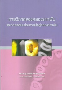 Image of กายวิภาคของคลองรากฟัน และการเตรียมช่องทางเปิดสู่คลองรากฟัน / พีรยา ภูอภิชาติดำรง